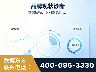 恩平-品牌现状诊断