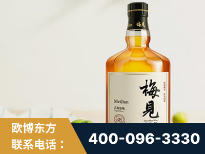恩平-梅见青梅酒